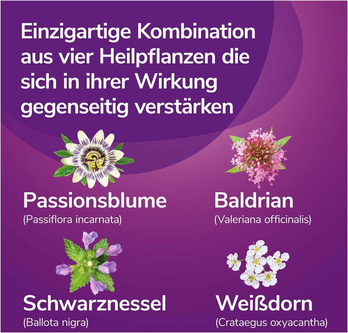Calmalaif überzogene Tabletten 40 Stück