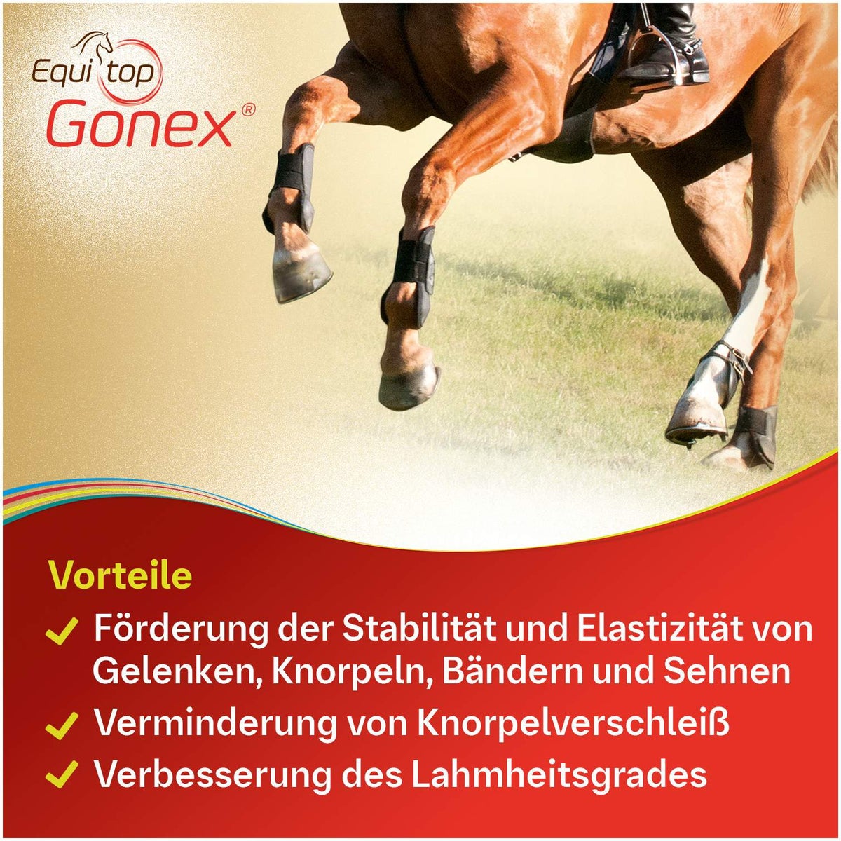 Equitop Gonex vet. 750 g Granulat