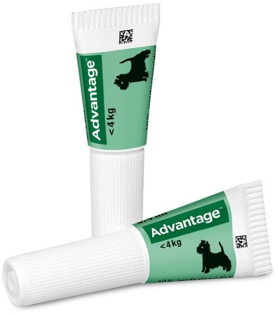 Advantage 40 Lösung für Hunde bis 4 kg 4 Einzeldosispipetten