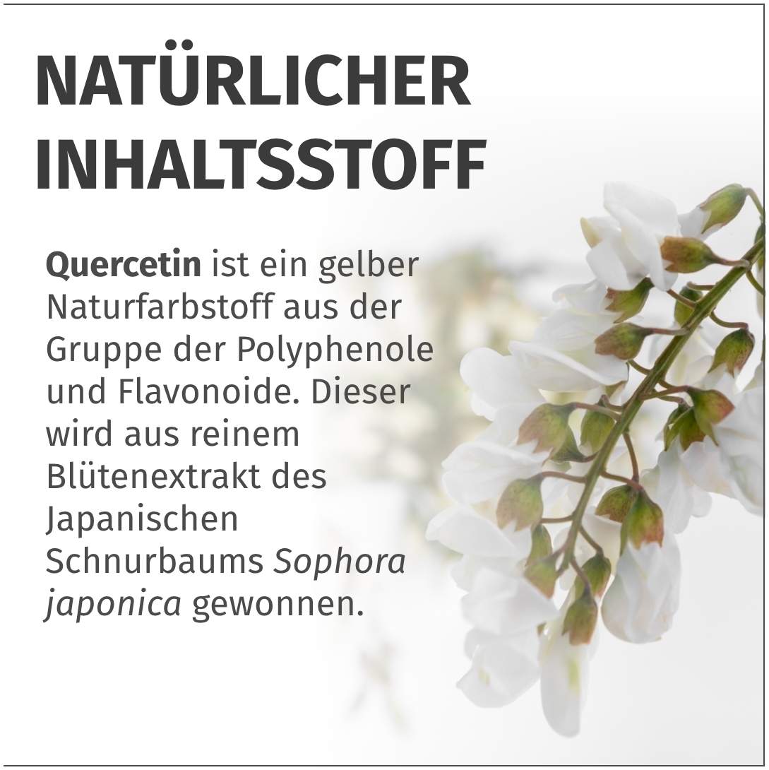 Green Naturals Quercetin 500 mg 180 Kapseln