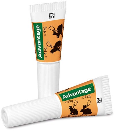Advantage 40 mg für Katzen und Zierkaninchen bis 4 kg 4 x 0,4 ml Lösung
