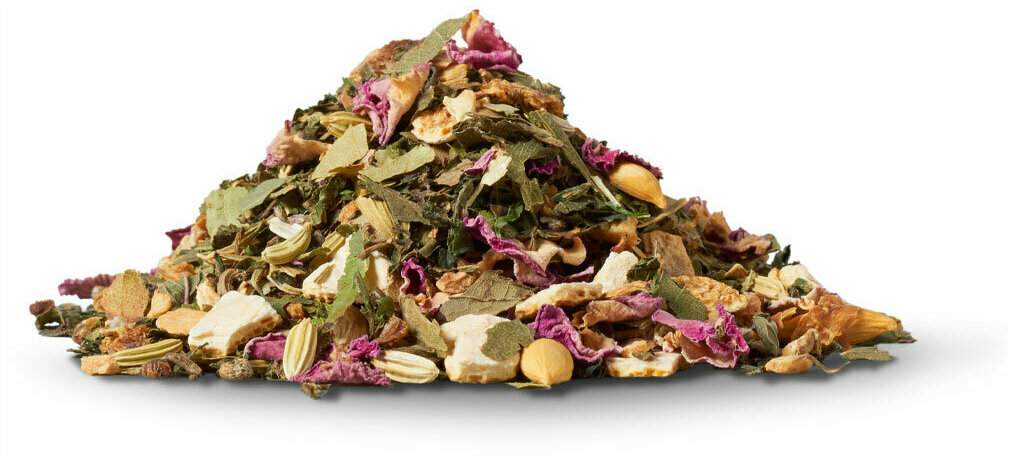 Herbaria Bio Tee Brennnessel Ingwer 45 g