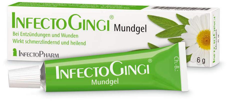 Infectogingi Mundgel 6 G Gel