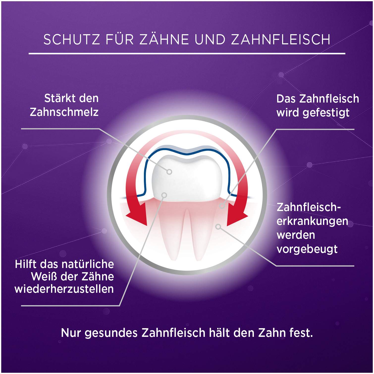 Lacalut aktiv Zahnfleischschutz & gesunder Zahnschmelz 75 ml