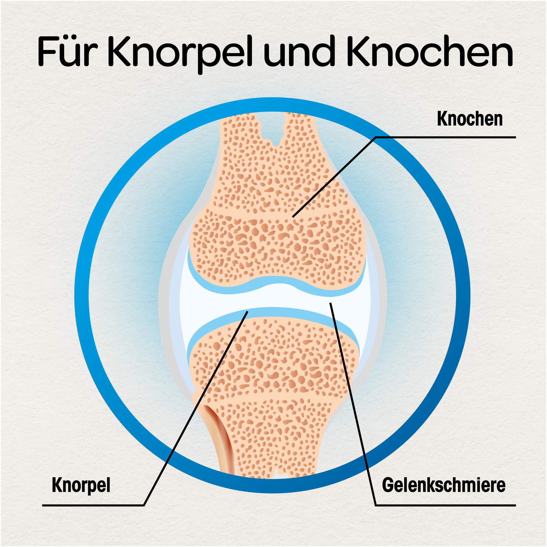 Dr.Böhm Knorpel & Knochen 120 Tabletten