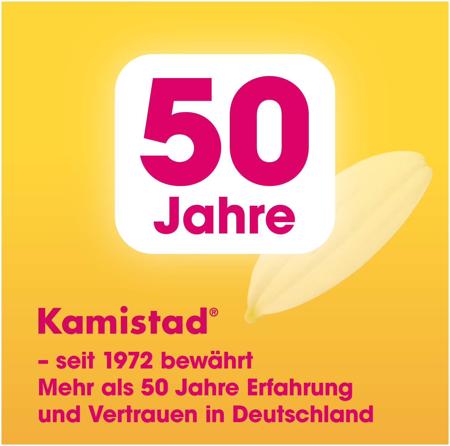 Kamistad Mundspray 20 ml