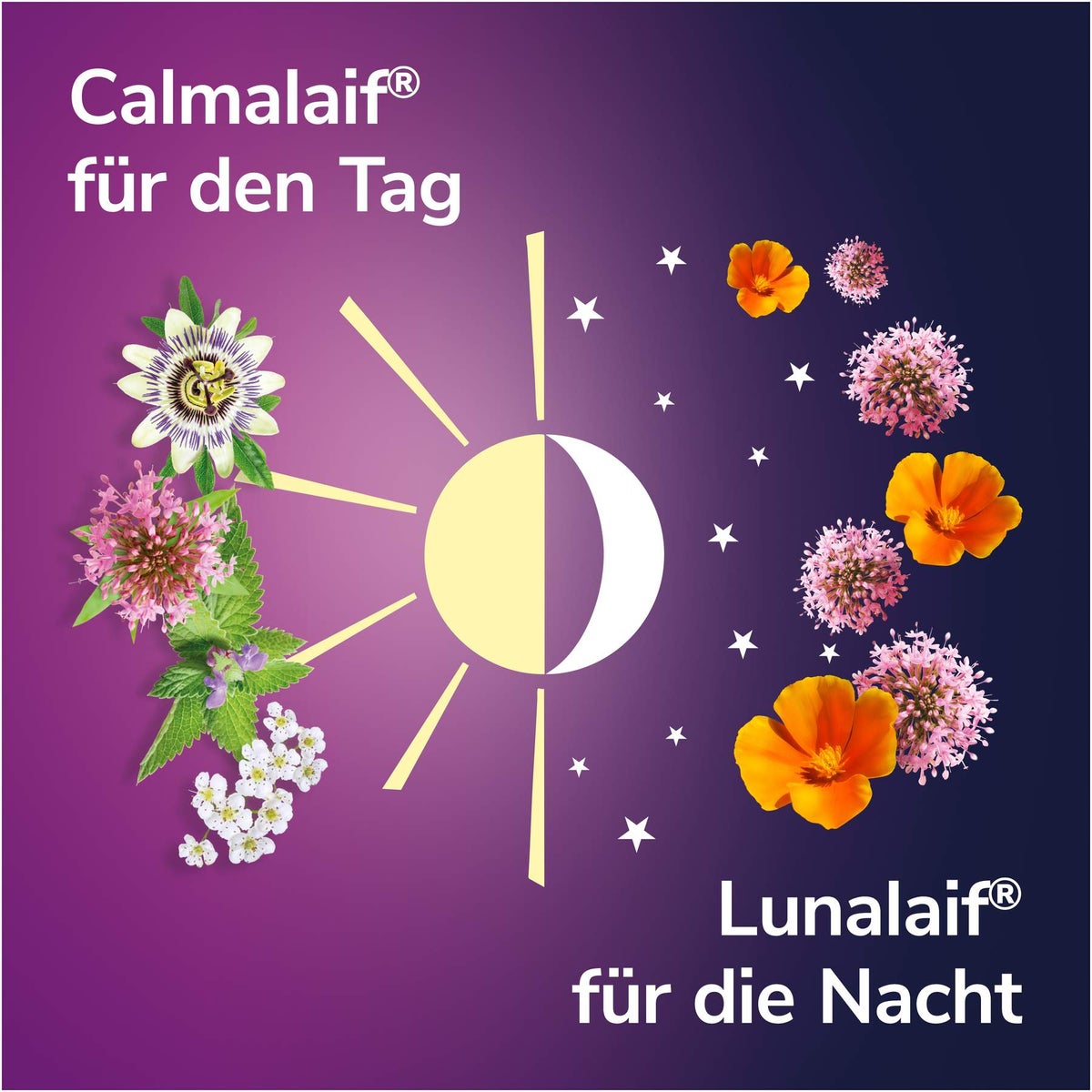 Lunalaif Guter Schlaf Kombi Depot 30 Tabletten + Calmalaif 40 überzogene Tabletten