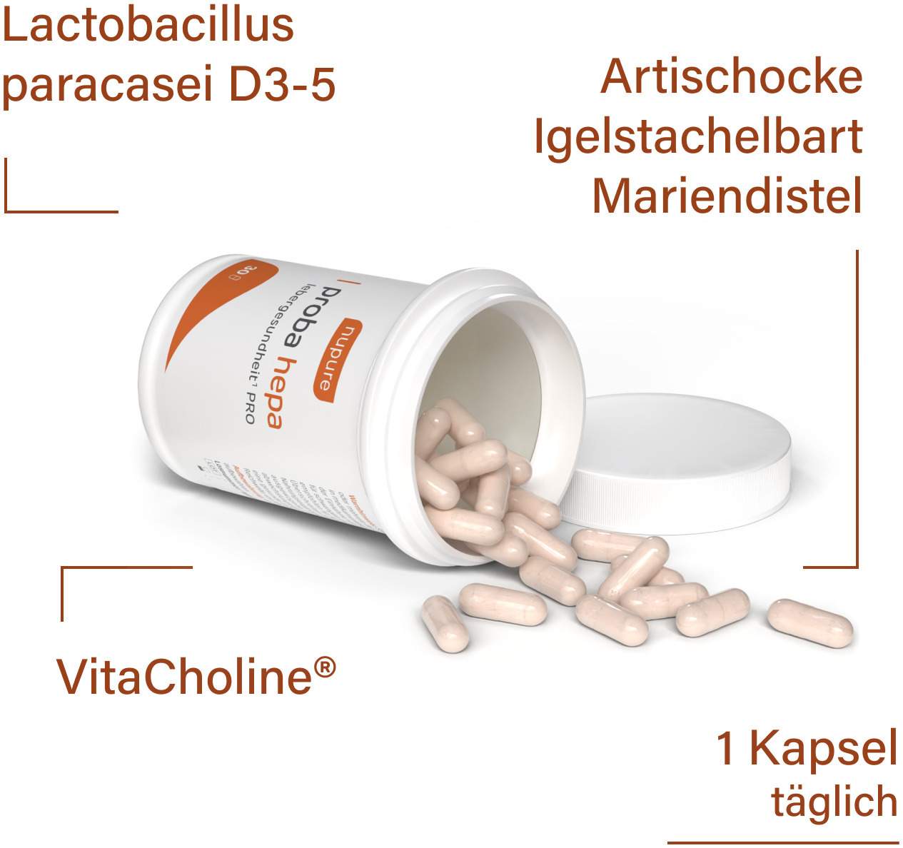 Probahepa Lebergesundheit Pro 30 Kapseln