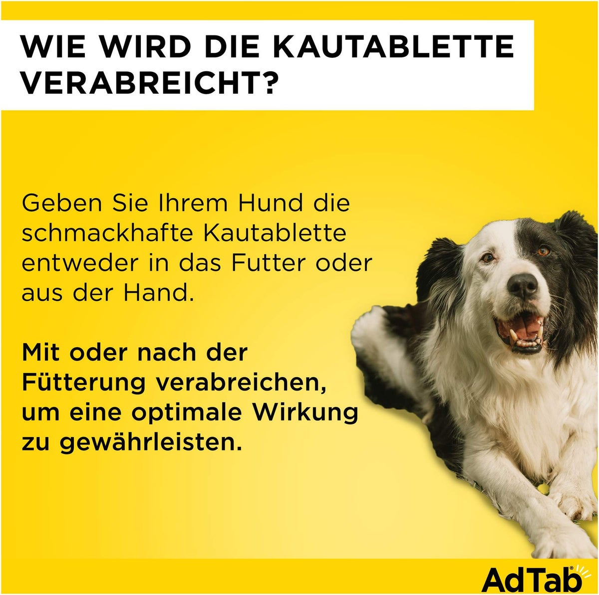 AdTab 56 mg für sehr kleine Hunde (1,3-2,5 kg) 3 Kautabletten