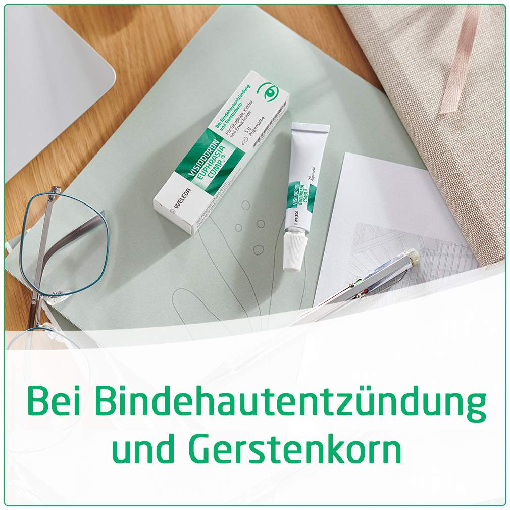 Weleda Visiodoron Euphrasia Comp. 5 g Augensalbe