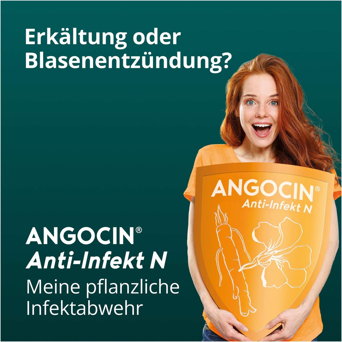 Angocin Anti Infekt N 50 Filmtabletten