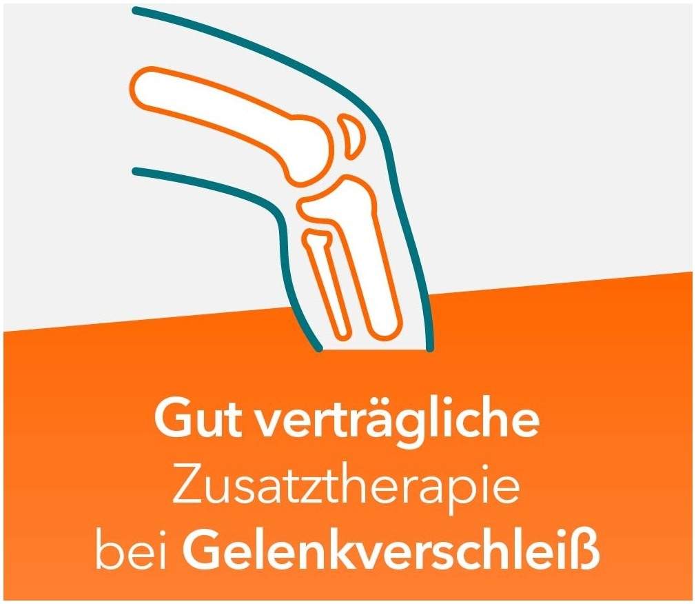 Teufelskralle-ratiopharm 480 mg - 200 Filmtabletten