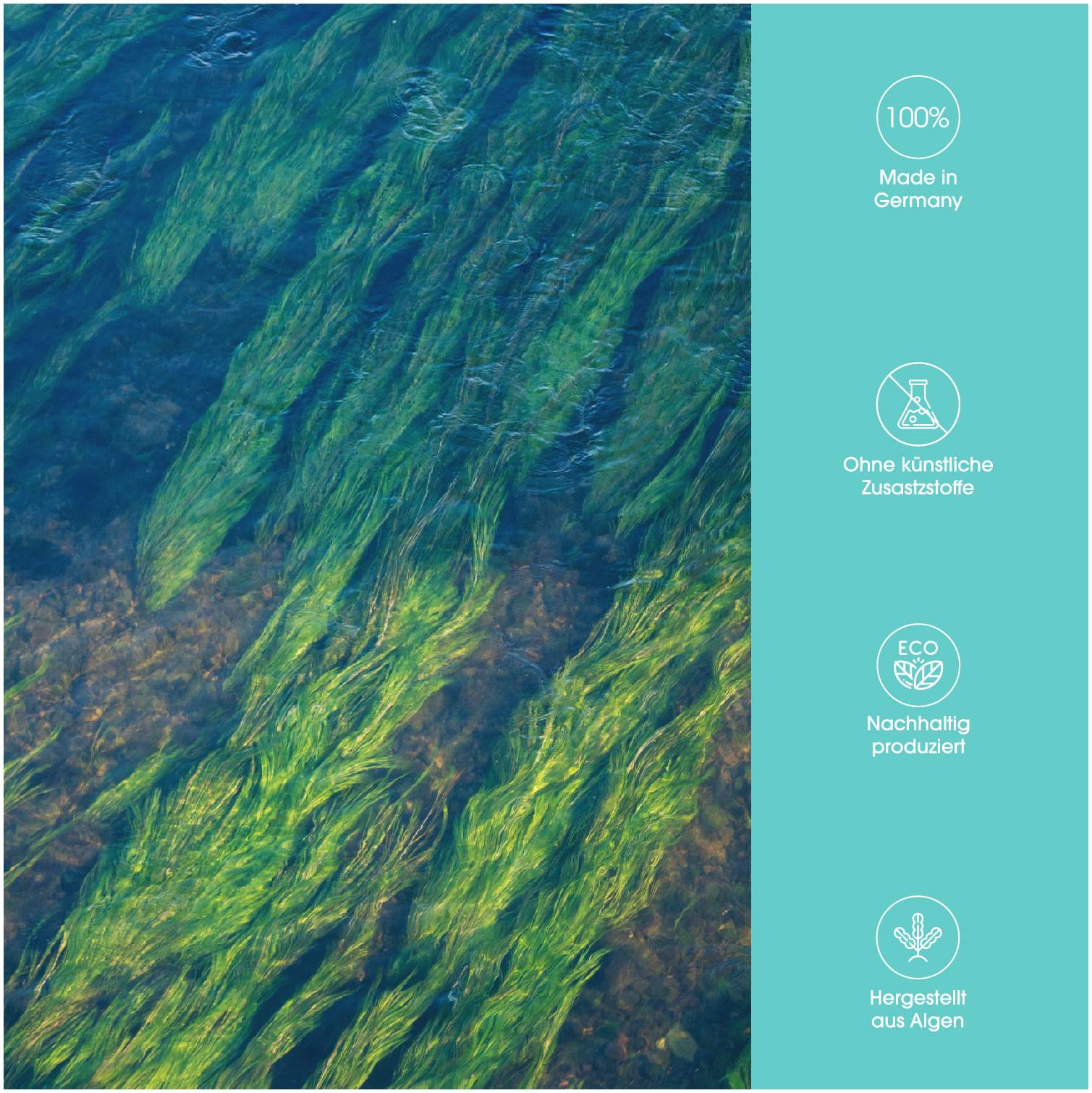 Medivital Omega 3 Alga 120 Kapseln