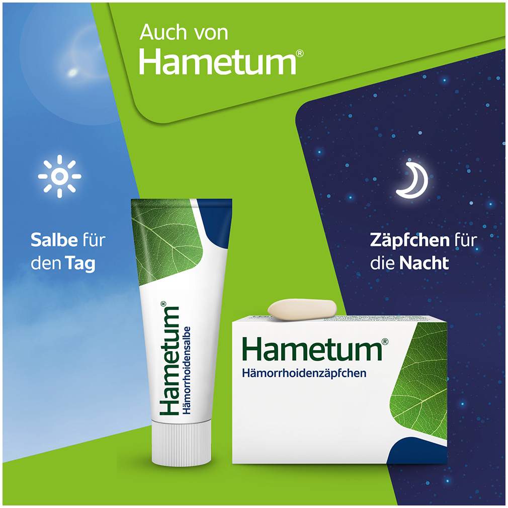 Hametum Medizinischer Reinigungsschaum 100 ml