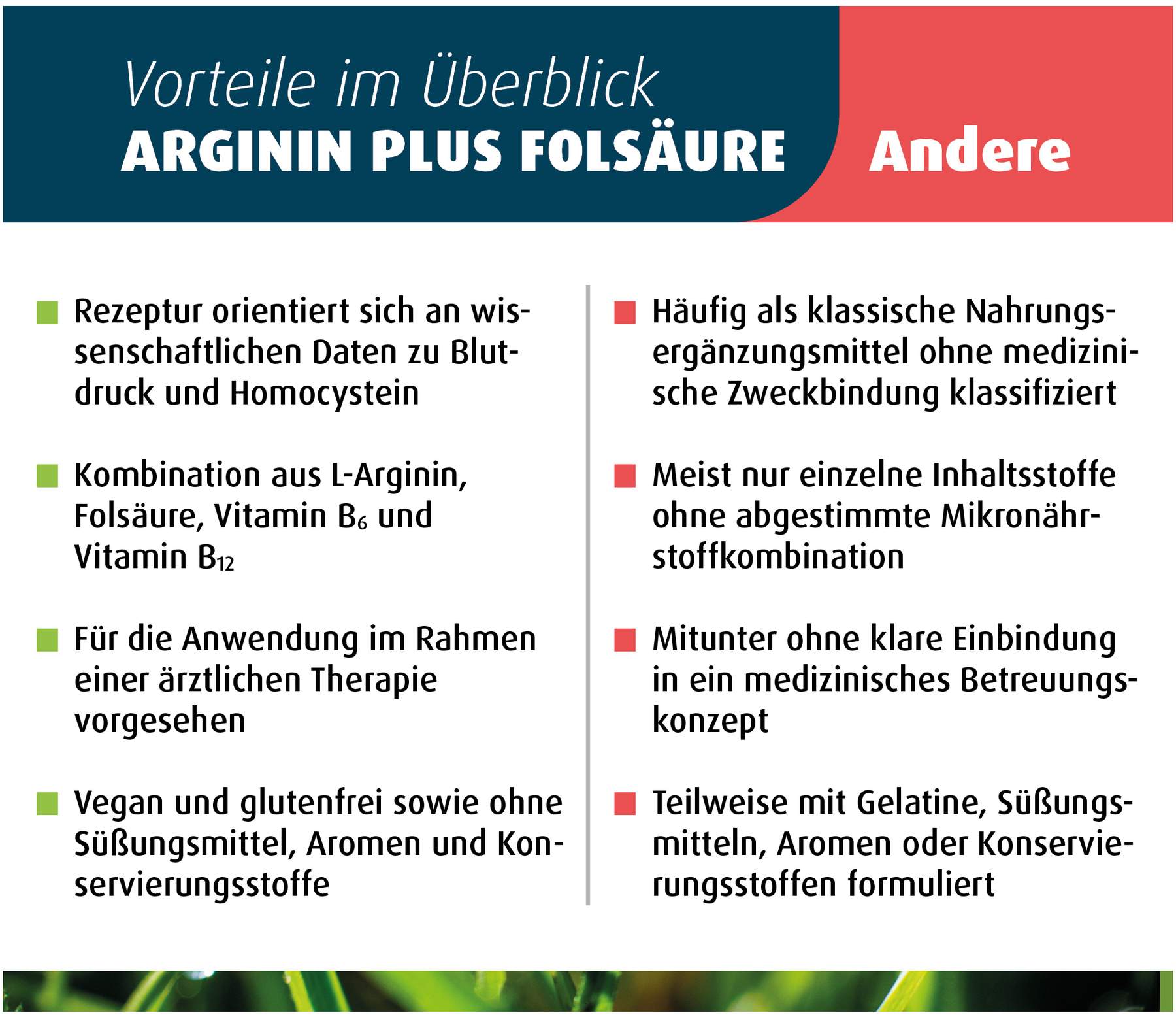 Arginin Plus Folsäure 120 Kapseln
