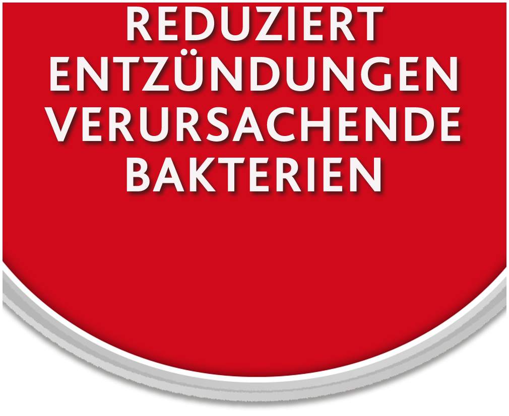 Chlorhexamed Mundgel 10 mg je g 50 g Gel