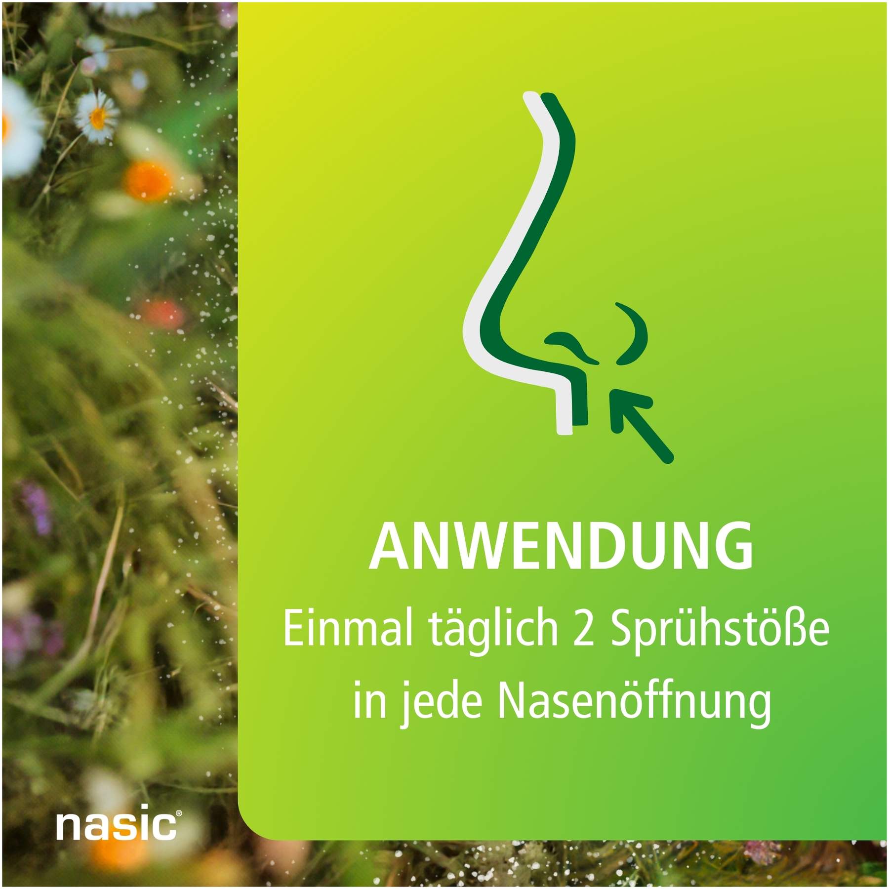 Nasic Mometason Heuschnupfenspray 18 g