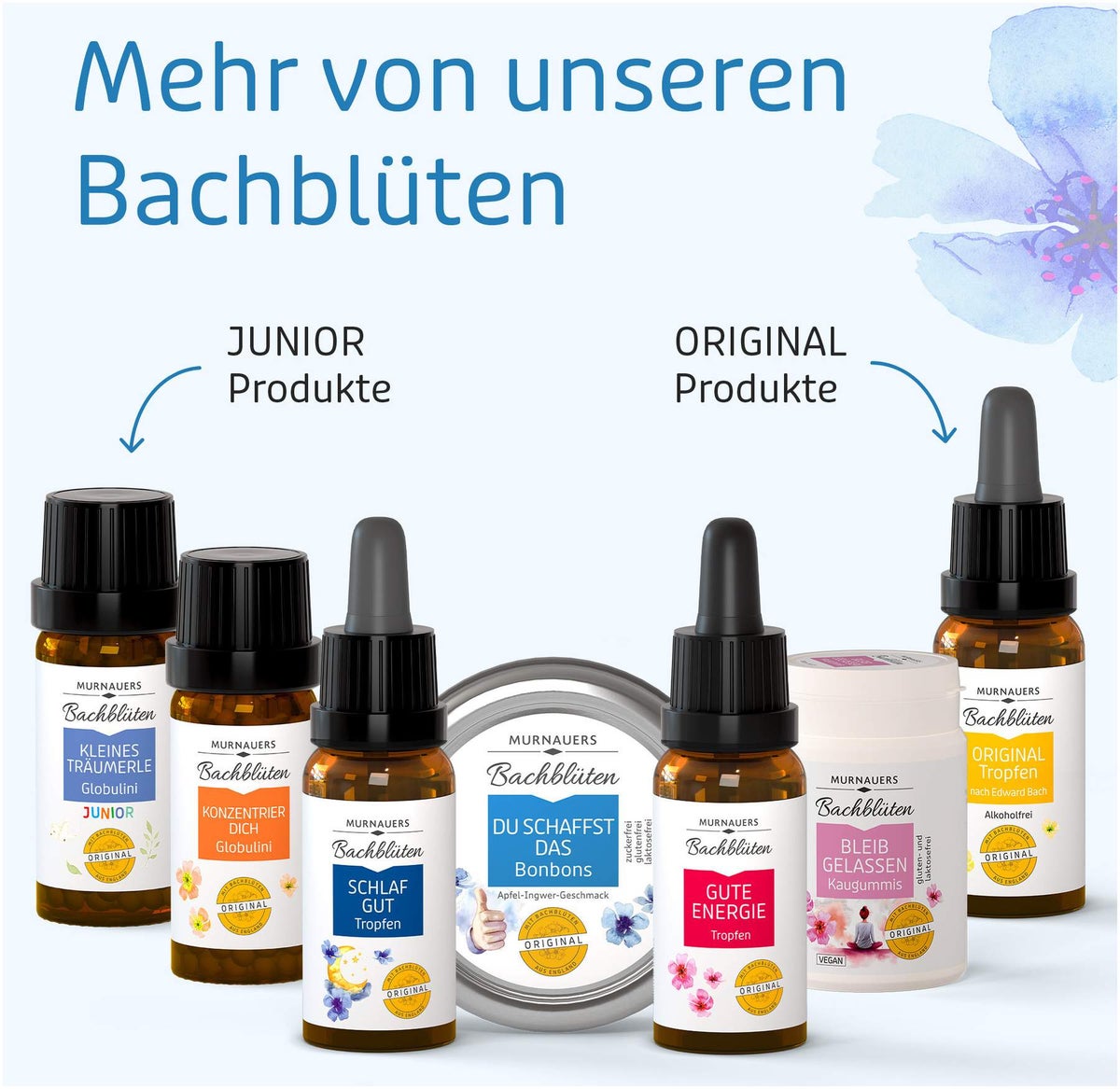 Bachblüten Murnauer -  Du Schaffst das -  50 G Bonbons