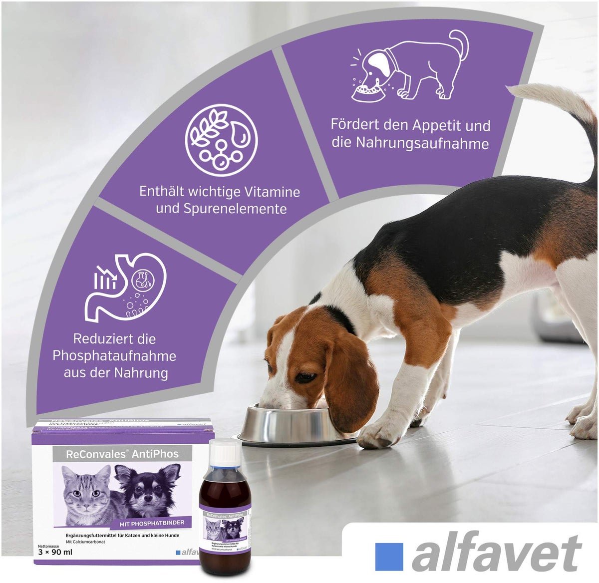 Reconvales AntiPhos 3 x 90 ml Flüssigkeit für kleine Hunde und Katzen