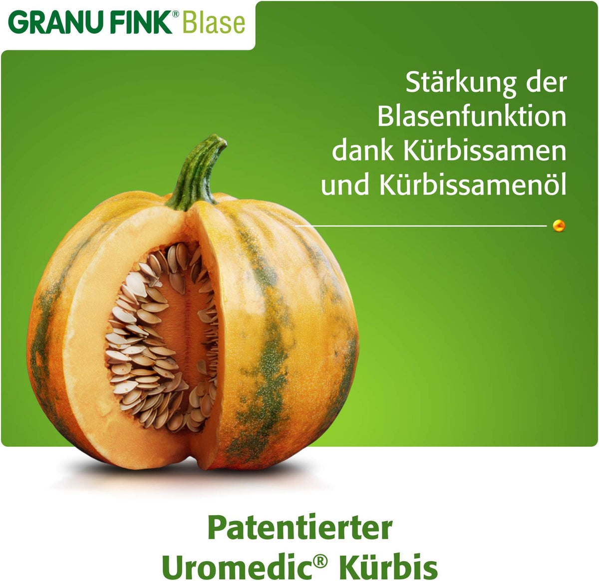Granu Fink Blase 160 Hartkapseln