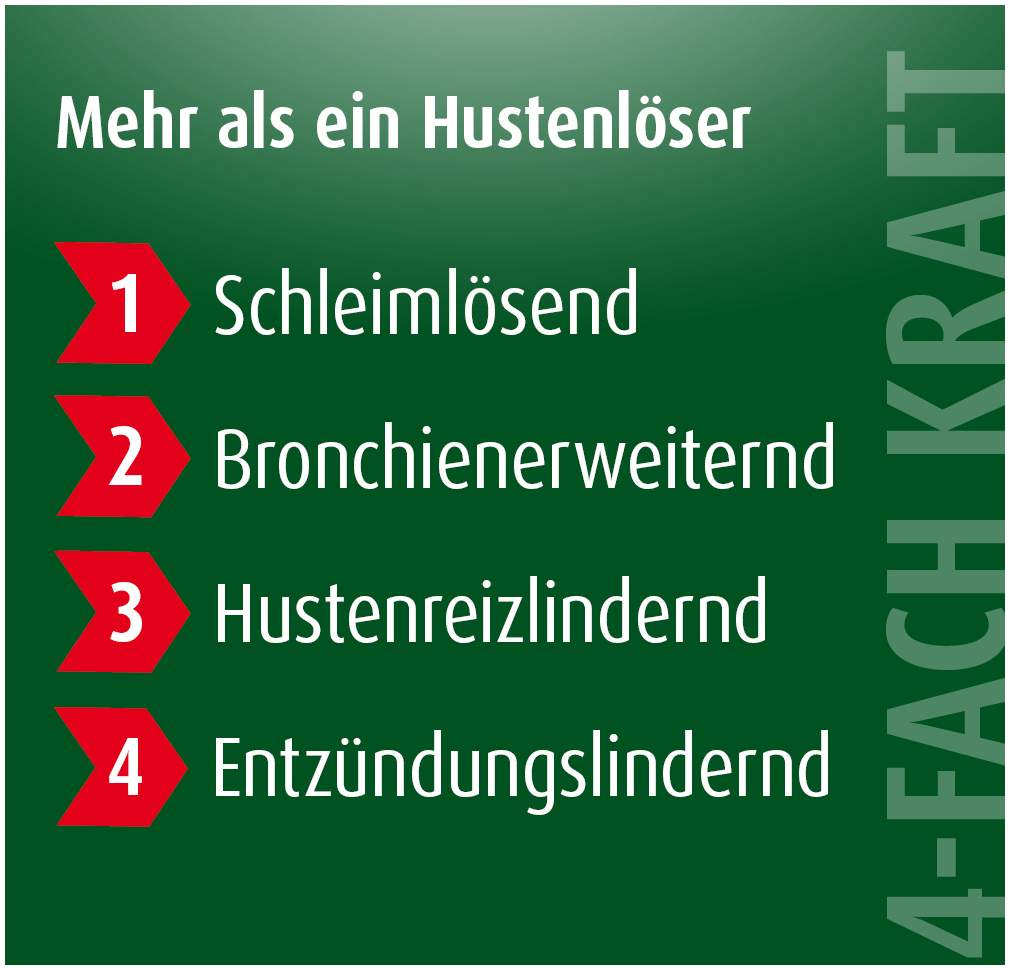 Prospan Hustenliquid 30 x 5 ml