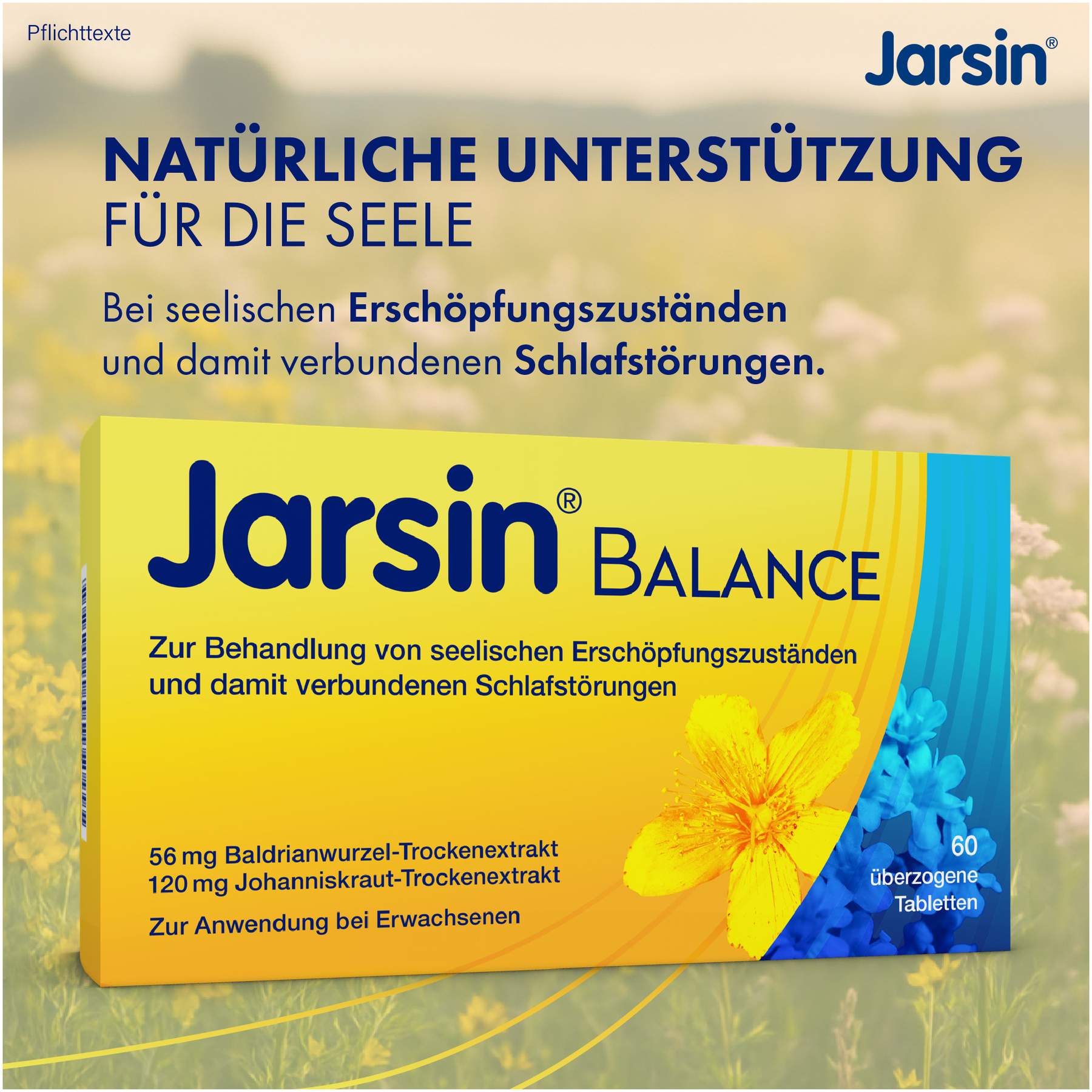 Jarsin Balance 60 Stück