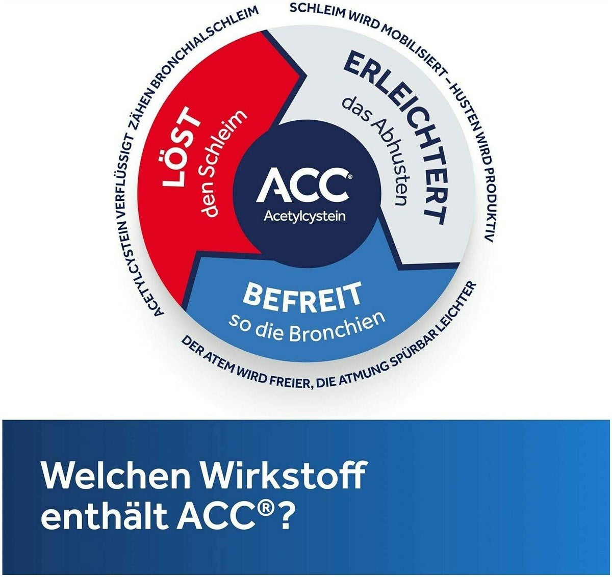 ACC akut 600 mg 40 Brausetabletten + ACC Kindersaft 100 ml