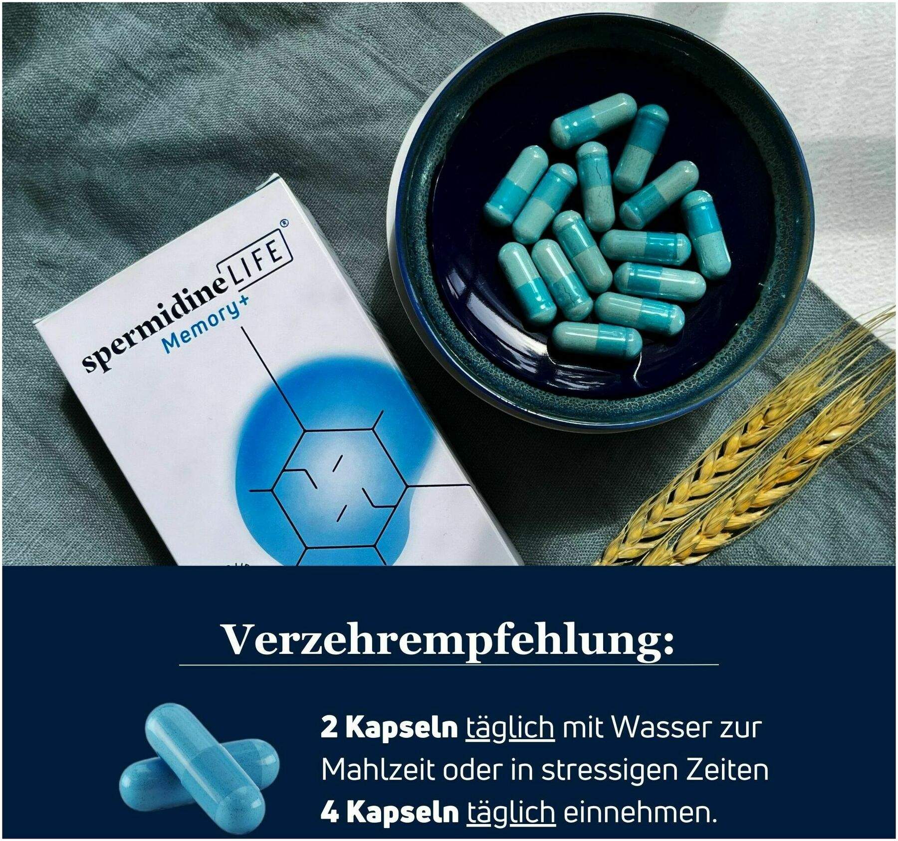 spermidineLIFE Memory+ 60 Kapseln