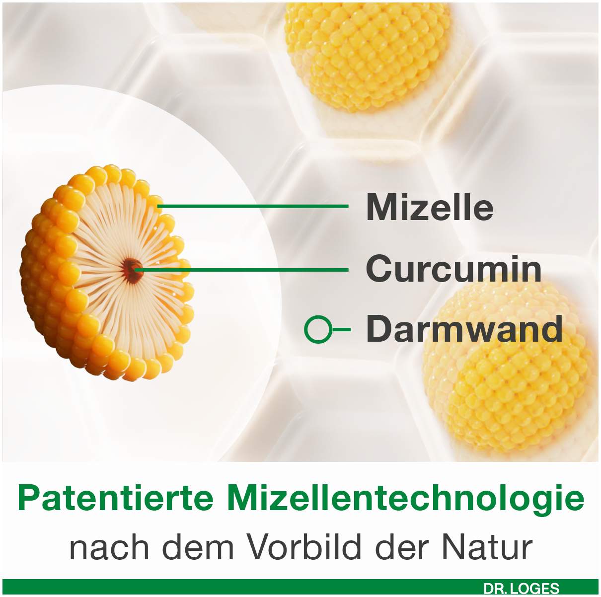 Curcumin Loges Plus Boswellia 120 Kapseln