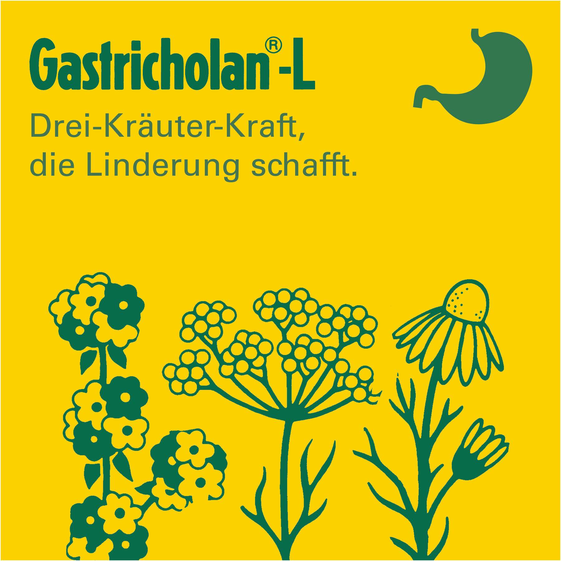 Gastricholan L Flüssig 2 X 50 ml Flüssigkeit
