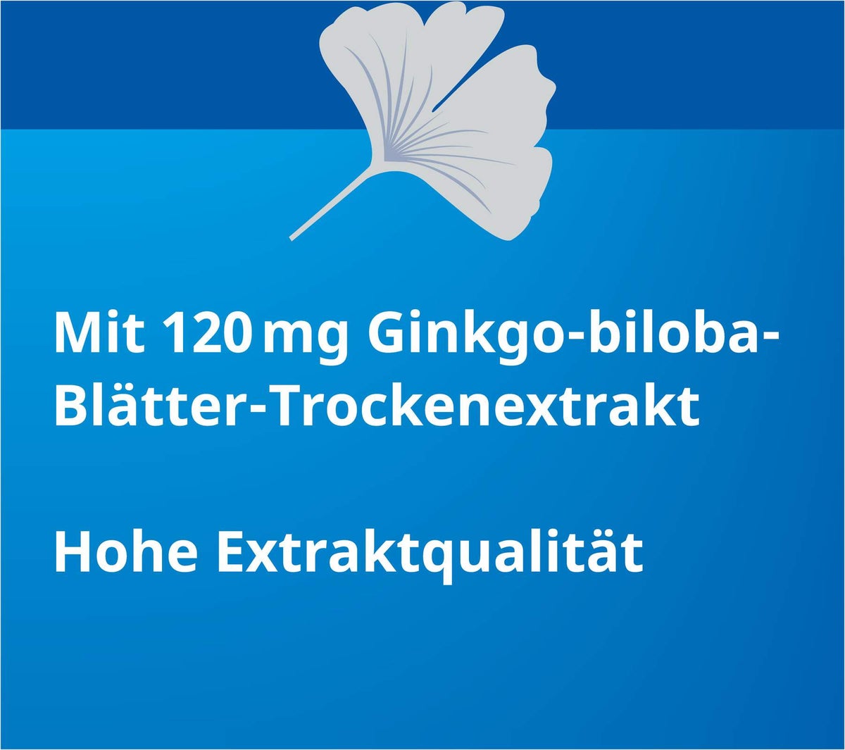 Ginkgo Stada 120 mg 120 Filmtabletten