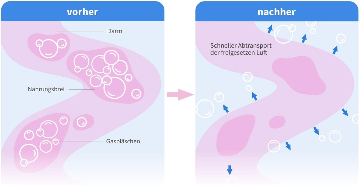 Velgastin Blähungen Suspension zum Einnehmen 30 ml
