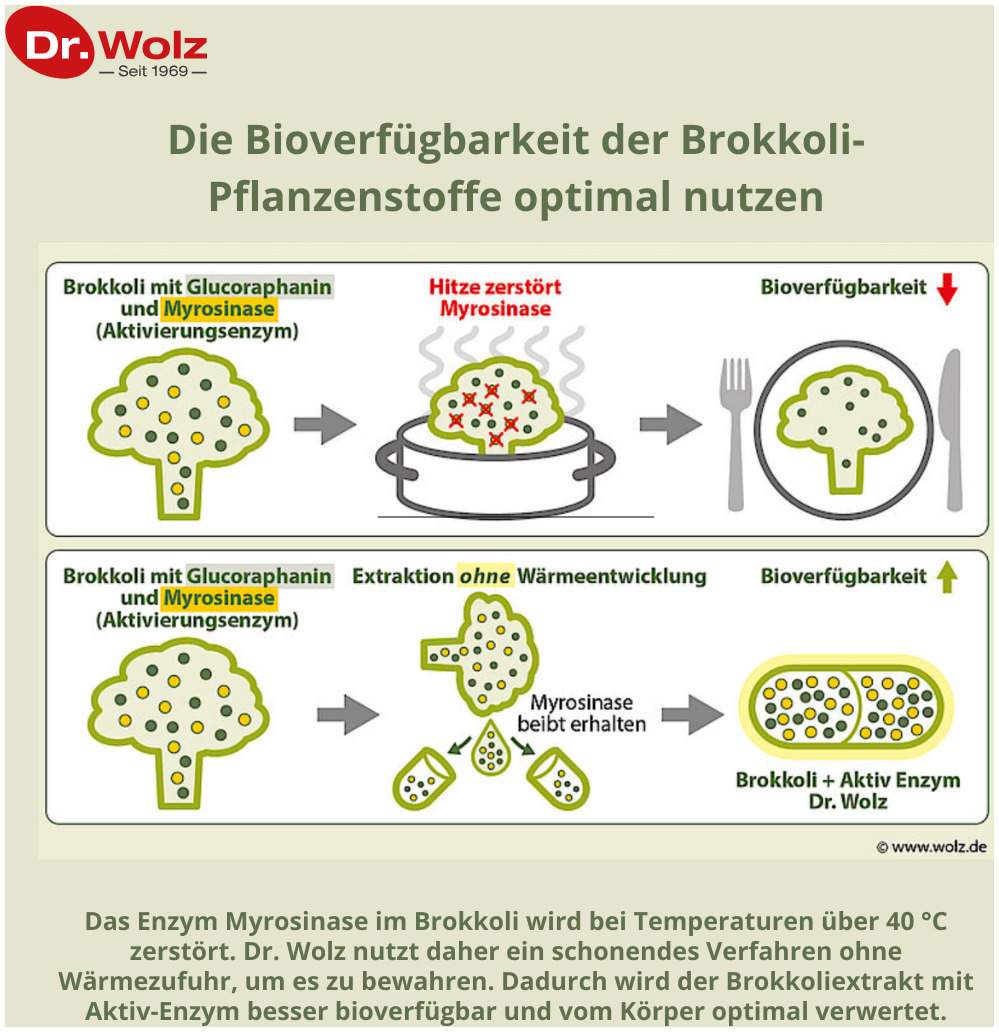 Brokkoli Extrakt + Aktiv-Enzym Dr. Wolz 60 Msr. Kapseln