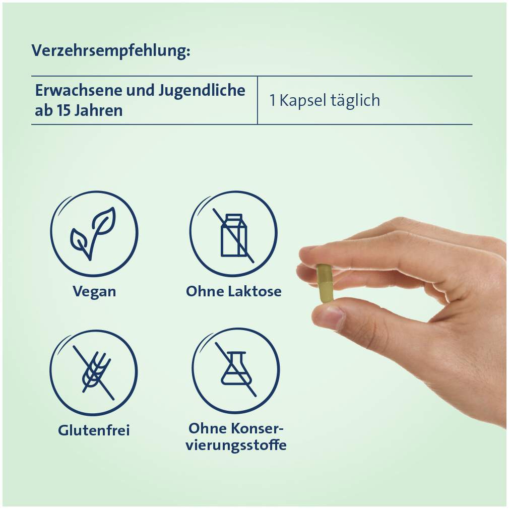 Hevert Eisen + C Pflanzlich 60 Kapseln