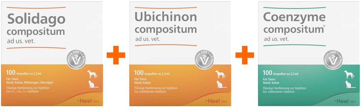 Solidago Compositum ad us.vet 100 St. + Ubichinon Compositum ad us.vet. 100 St. + Coenzym Compositum ad us.vet. 100 St.