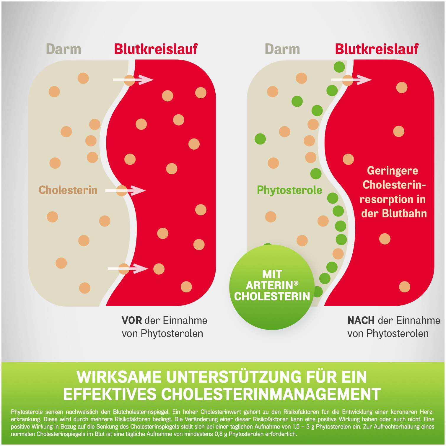 Arterin Cholesterin 90 Tabletten