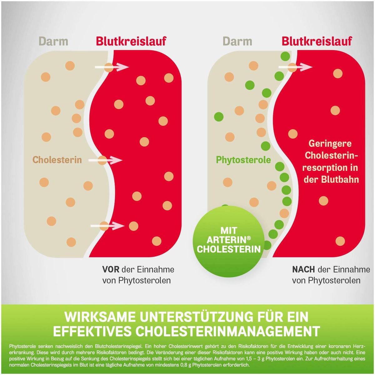 Arterin Cholesterin 90 Tabletten