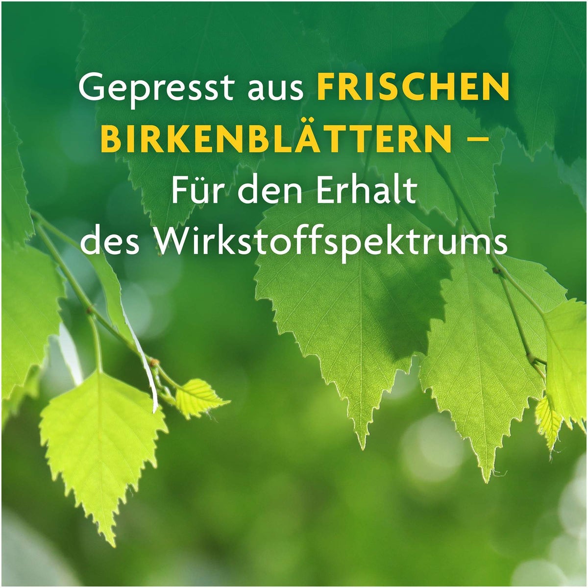 Birkensaft Schoenenberger 200 ml Saft