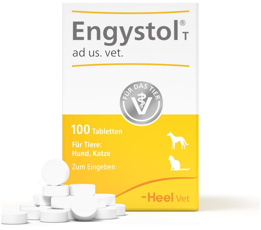 Engystol T Ad Us. vet. 100 Tabletten