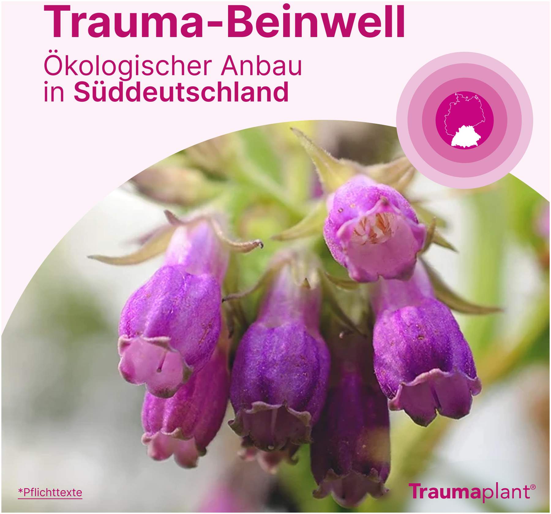 Traumaplant Schmerzcreme 150 g