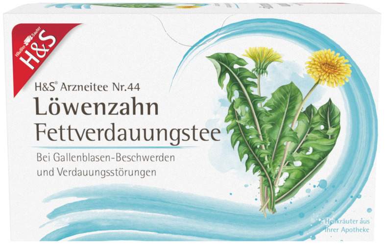 H&S Löwenzahn 20 Filterbeutel