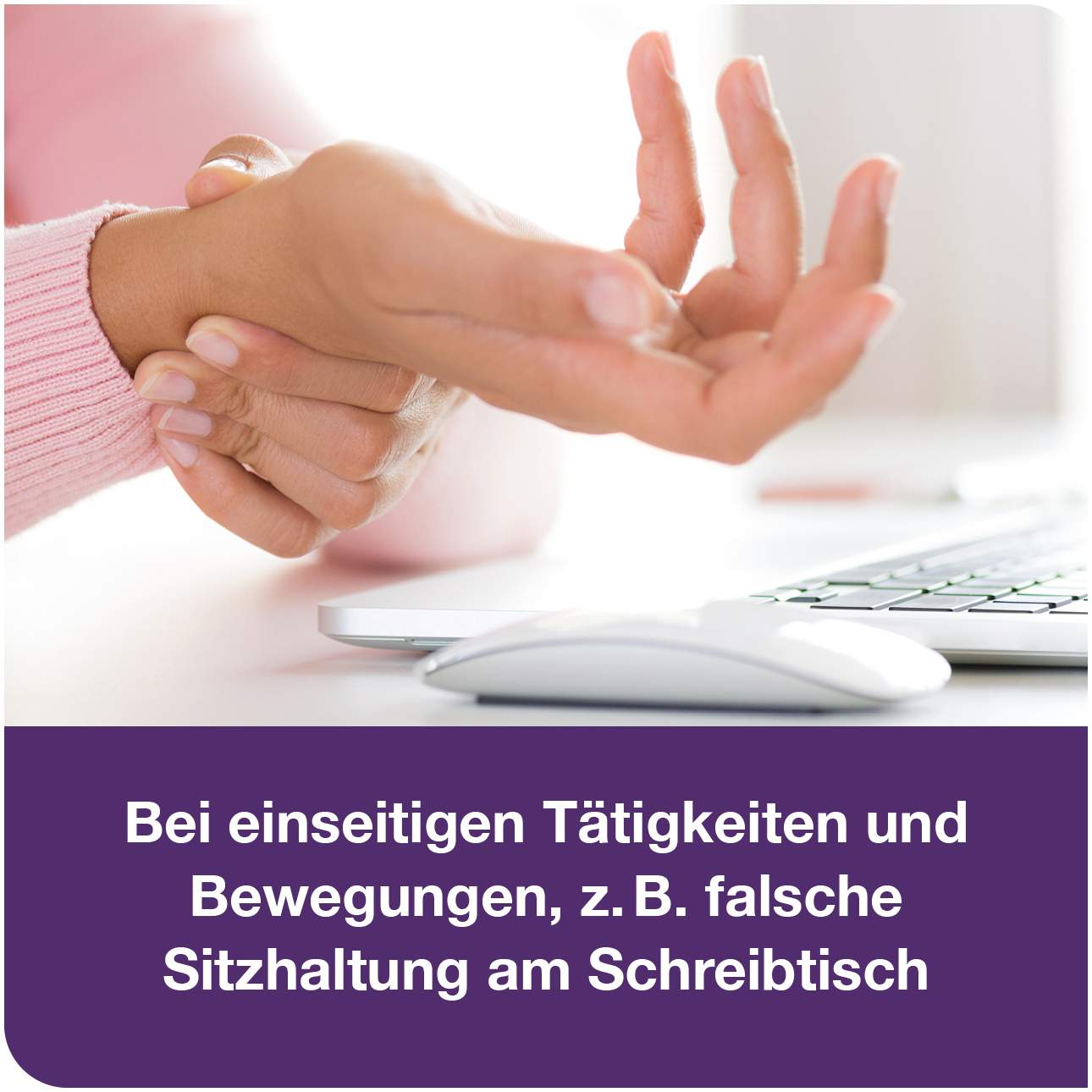 Tendologes Für Sehnen und Bänder 45 Sticks