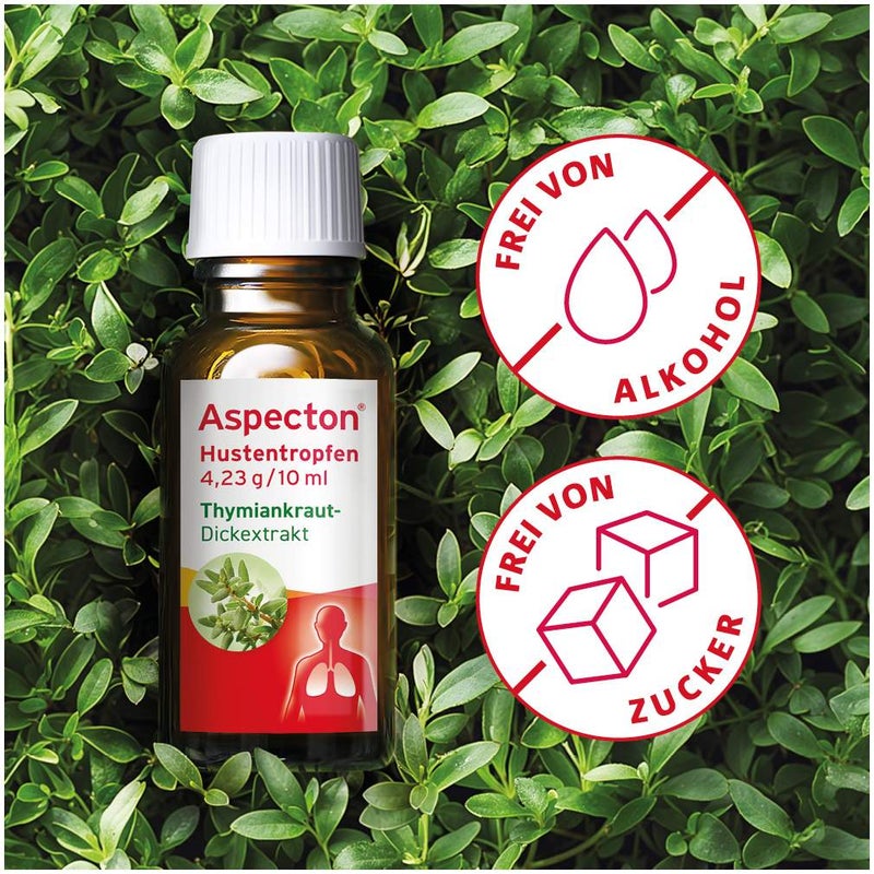 Aspecton Hustentropfen 50 ml Tropfen