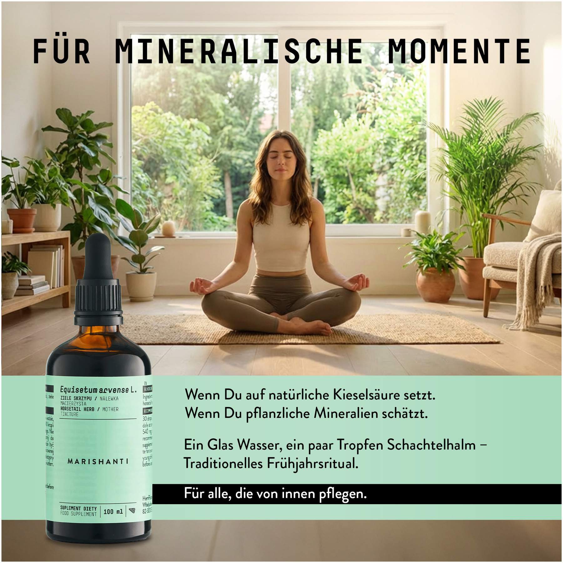 Schachtelhalm Extrakt Kräuter Tropfen alkoholfrei 100 ml