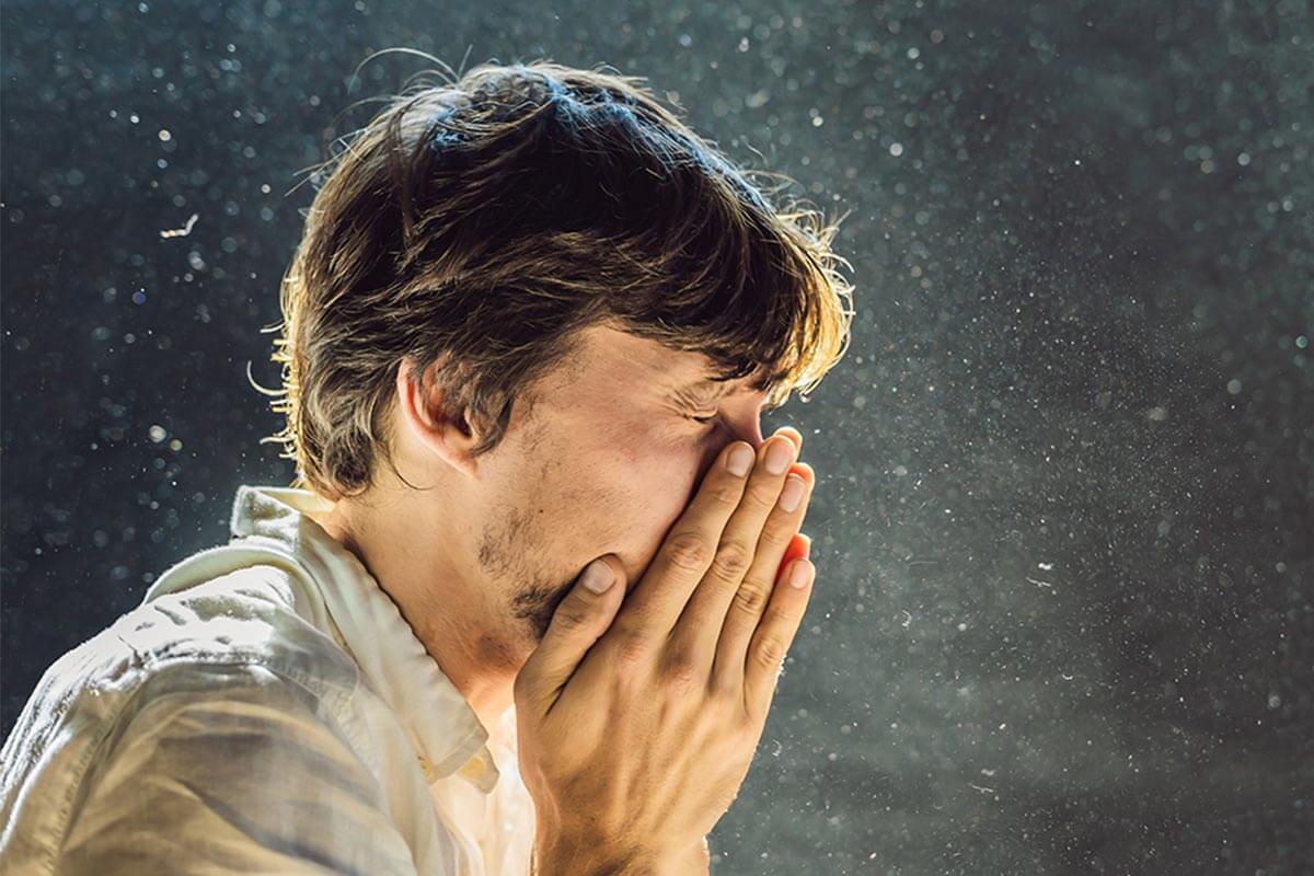 Hausstaubmilbenallergie: Symptome, Ursachen und Therapie
