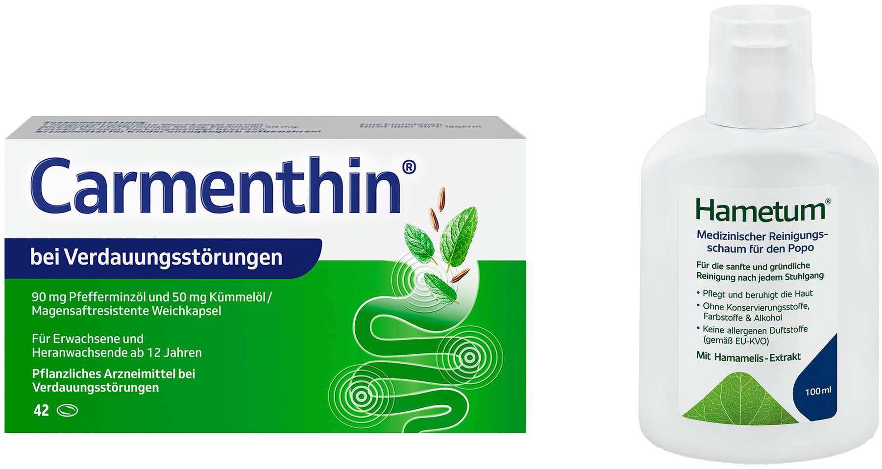 Carmenthin bei Verdauungsstörungen 42 magensaftresistente Weichkapseln + Hametum Medizinischer Reinigungsschaum 100 ml