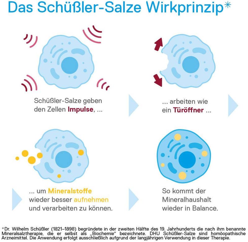 DHU Schüßler-Salz Nr. 11 Silicea D12 200 Tabletten
