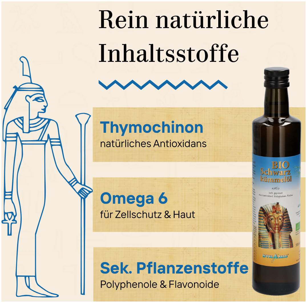 Schwarzkümmel Bio Ägypt. Öl 500 ml