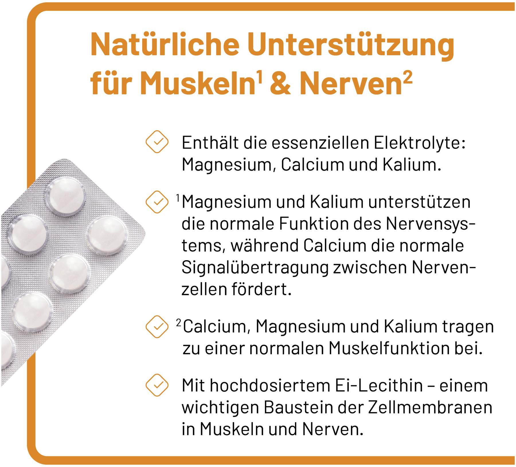Phosetamin NE 200 Tabletten