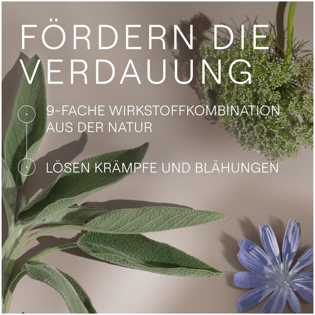 Weleda Amara Tropfen 50 ml